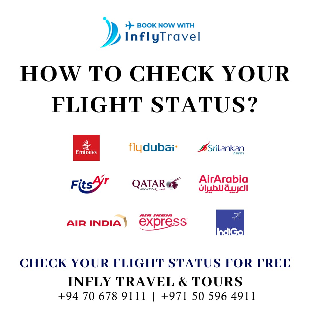 How to check your flight status  online ?