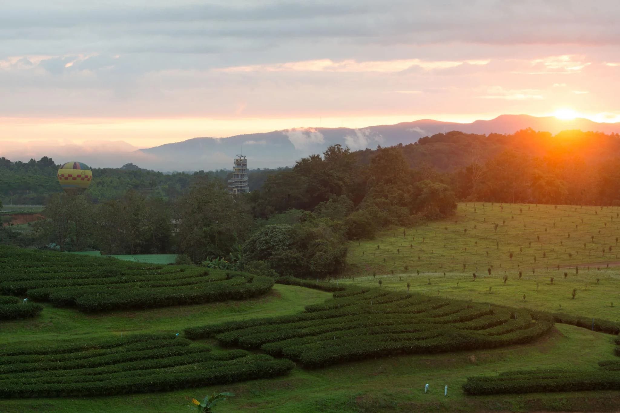 Chiang Rai Nature & Culture Escape  5 Days / 4 Nights photo 2