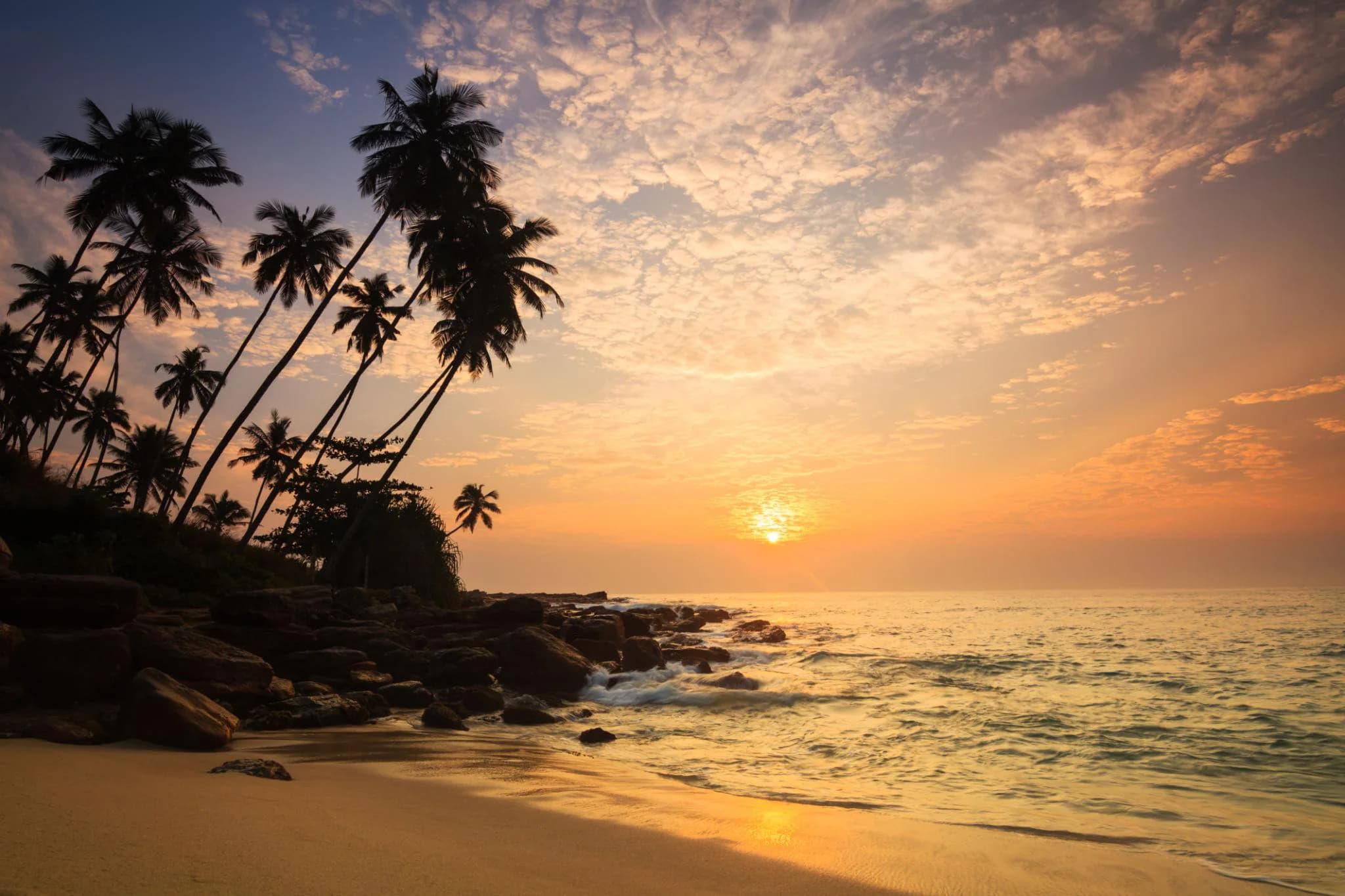 Discover Sri Lanka – Scenic Heritage & Coastal Escape photo 2