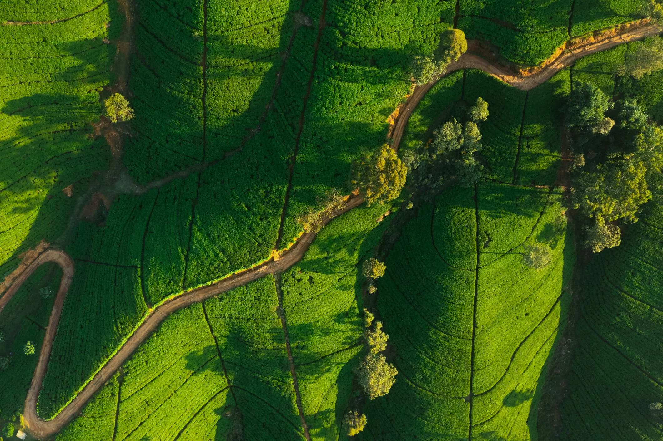 Explore Sri Lanka – 6 Days Cultural & Scenic Tour