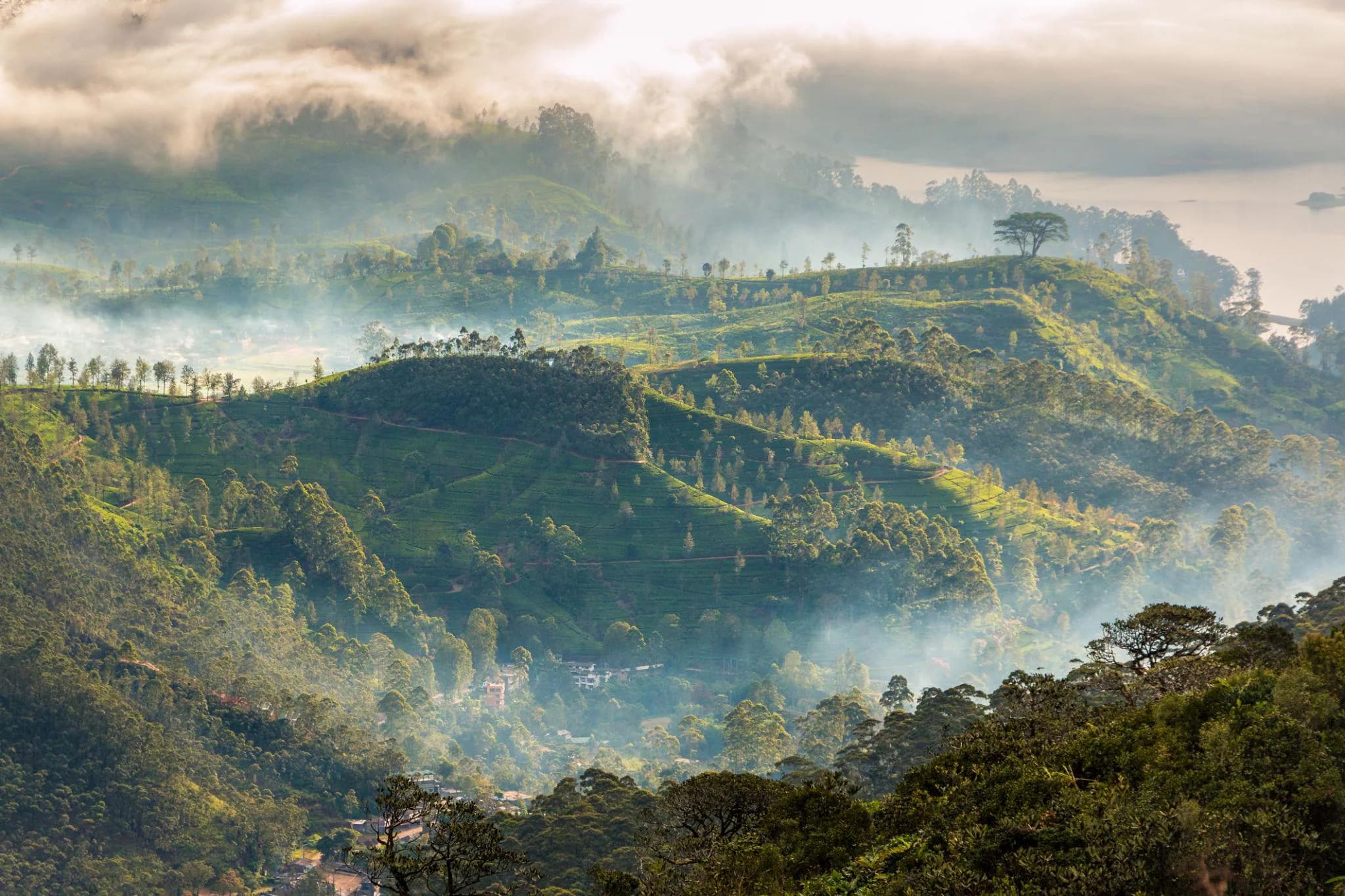 Sri Lanka Cultural & Nature Discovery Tour (8 Days / 7 Nights) photo 3