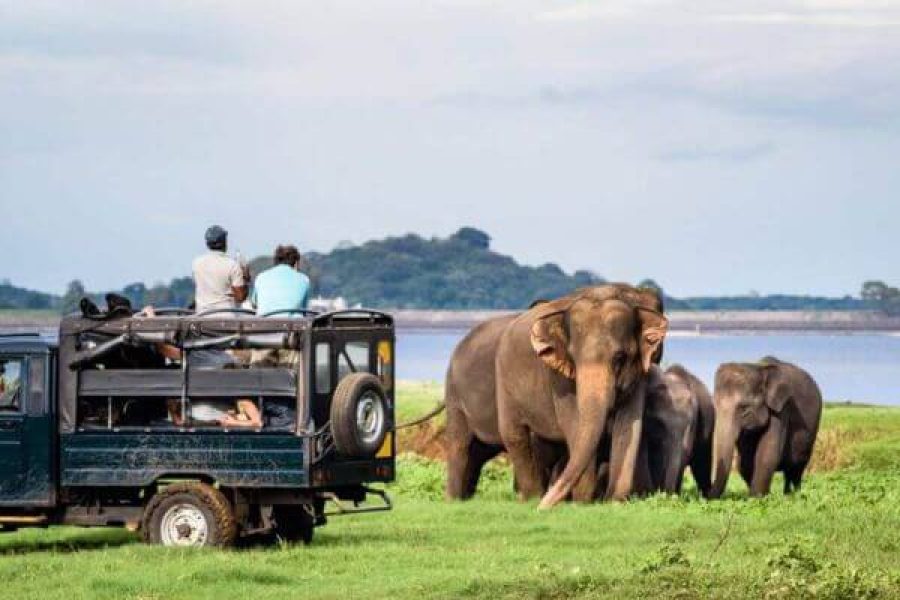 7 Days Sri Lanka Tour Package